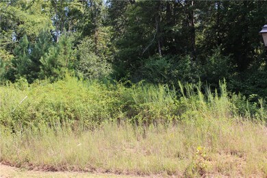 108 Old Compton St unit Pendelton, Pendleton, SC 29670 - photo 4