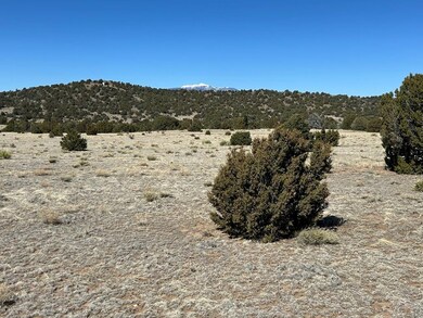 Lot 93 Twin Lakes Ranch, Walsenburg, CO 81089 - photo 4
