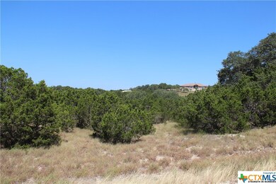 Near back of lot along tree line. Neighbor to the