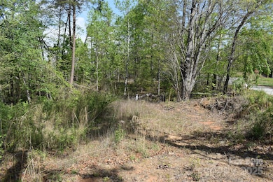 0 Winter Ln unit Lot 7 CAR4280434, Mill Spring, NC 28756 - photo 5