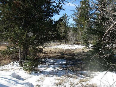 Land/Lot.
