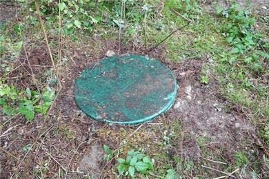 2217 384th St E, Roy, WA 98580 - photo 4