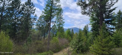 Mountain Views