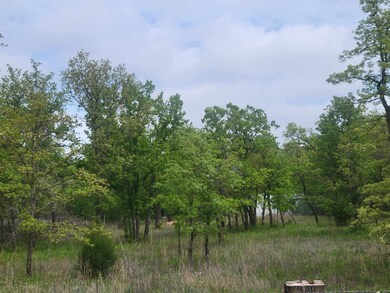 169625 Lakeview Dr, Marlow, OK 73055 - photo 5