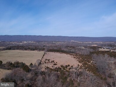 0 Junction Rd unit VASH118694, Strasburg, VA 22657 - photo 4