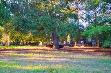 161 Woodman Dr, Cleveland, TX 77328 - photo 3