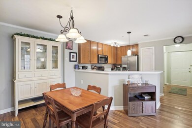 18801 Sparkling Water Dr unit 8/203, Germantown, MD 20874 - photo 5