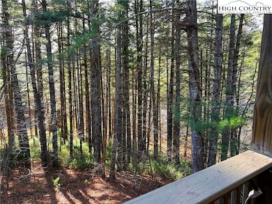 56 Buttons Ln, Sparta, NC 28675 - photo 5