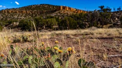 20230216170855290126000000-o