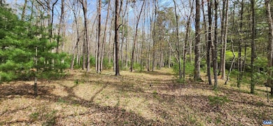 162 Tims Draft Ln, West Augusta, VA 24485 - photo 6