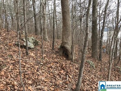 LOT 85 Cyprus Cir unit 85, Sylacauga, AL 35151 - photo 7