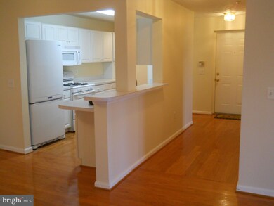 655 Burtons Cove Way unit 3, Annapolis, MD 21401 - photo 7