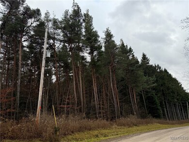 2815 Stuck Hill Rd, Scio, NY 14880 - photo 4