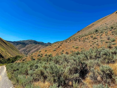 Lot 2, Parcel 1 Dennett Creek Rd, Weiser, ID 83672 - photo 6