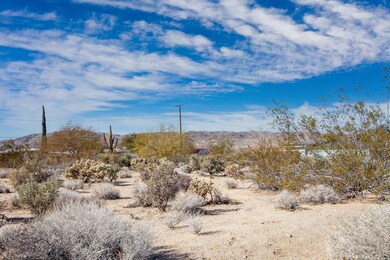 8212 Pine Springs Ave, Twenty-Nine Palms, CA 92277 - photo 6