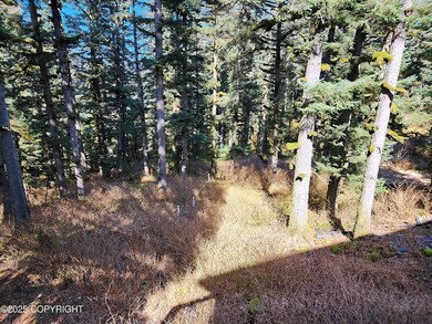 3291 Lake View Dr, Kodiak, AK 99615 - photo 3