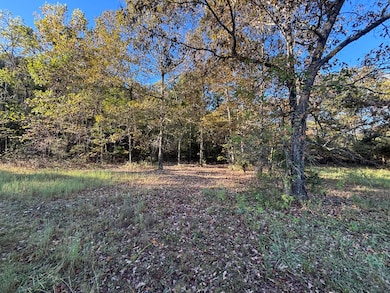 000 Timbercrest Rd, Viola, AR 72583 - photo 4