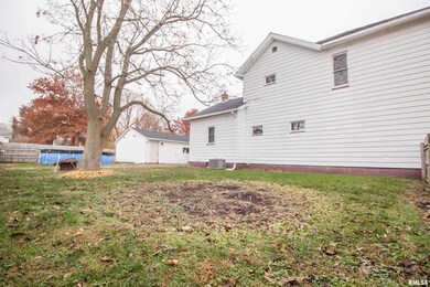 201 N 1st St, Alpha, IL 61413 - photo 5