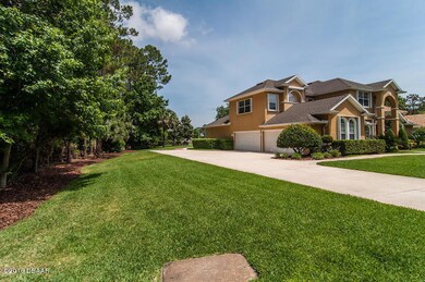Driveway and Conservation