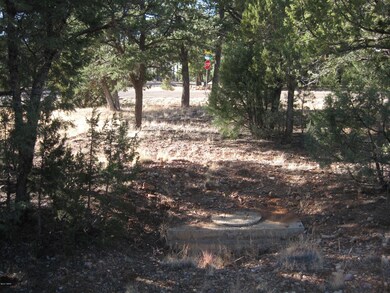 Lot 216 Septic 2