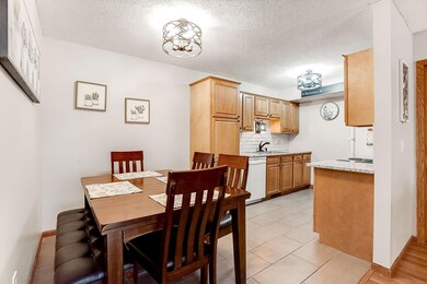 14903 Glenbrook Ave N, Hugo, MN 55038 - photo 6