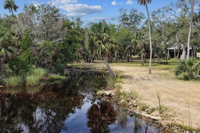 1710 1st St, Steinhatchee, FL 32359 - photo 6