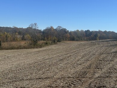 0 Old Kentucky Rd, Sparta, TN 38583 - photo 5