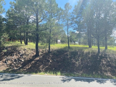 Lot 3 Block 8, Alto, NM 88312 - photo 4