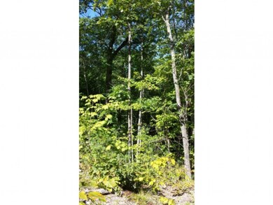 Lot 6 Barend, Wakefield, NH 03872 - photo 4