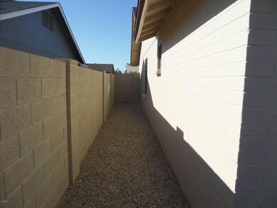 Eastern Part of Back Yard