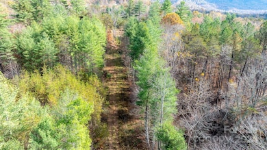 TBD Wilkerson Way, Marion, NC 28752 - photo 4