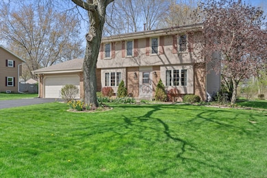 Beautiful front yard