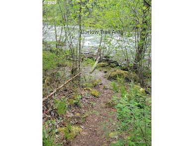 22118 E Yakima Ln, Rhododendron, OR 97049 - photo 4