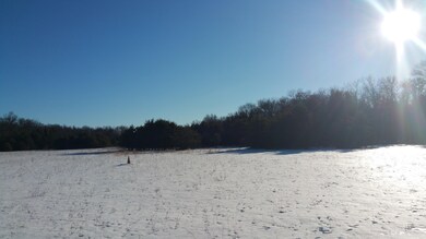 14306 N Gordon Ave, Bitely, MI 49309 - photo 5