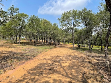 TBD - Lot 88 Blissful Ct, Graford, TX 76449 - photo 7