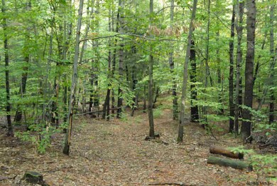 35 Hummel Dr, Corinth, NY 12822 - photo 3