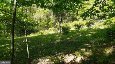 6588 Paw Paw Rd, Paw Paw, WV 25434 - photo 2