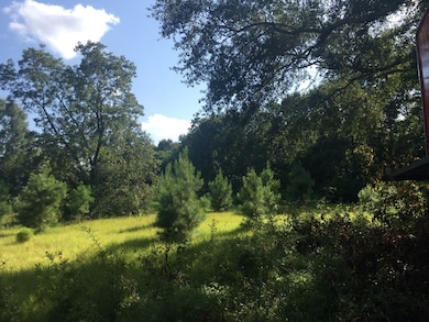 0 U S Highway 51, McComb, MS 39648 - photo 4