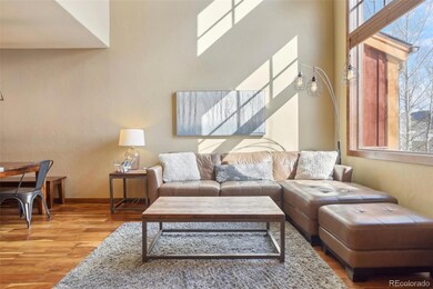 50 B County Road 1293 unit 50B, Silverthorne, CO 80498 - photo 6