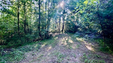 Driveway Pic 1