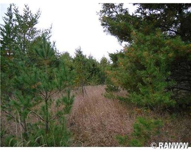 0 Hwy 35 unit 858939, Webster, WI 54893 - photo 2