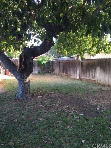 Nice size backyard with 2 mature avocado trees