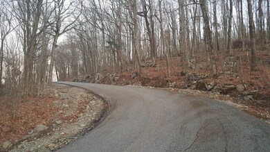 0 Lemont Yates, Spencer, TN 38585 - photo 3