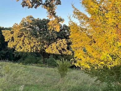 16.4 Ac County Rd E, Brooklyn, WI 53521 - photo 4