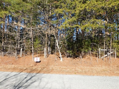 Street view +/- 200 feet of road frontage on Carr