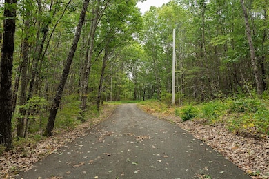 309 Southwest Rd, Canterbury, NH 03224 - photo 3