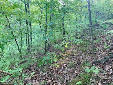 288 Sequoyan Ct, Clay Township, MO 63435 - photo 5