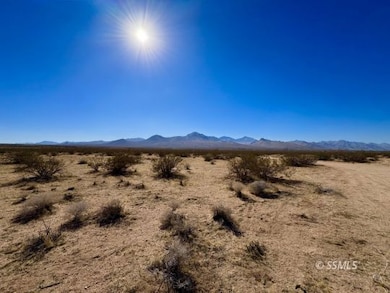 341-083-16 Redrock Inyokern Rd, Inyokern, CA 93527 - photo 7