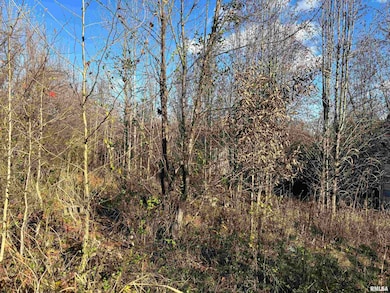 1475 State Route 127 S Hwy, Jonesboro, IL 62952 - photo 4