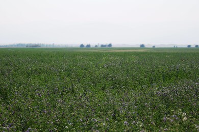 Copy of DSC01375
